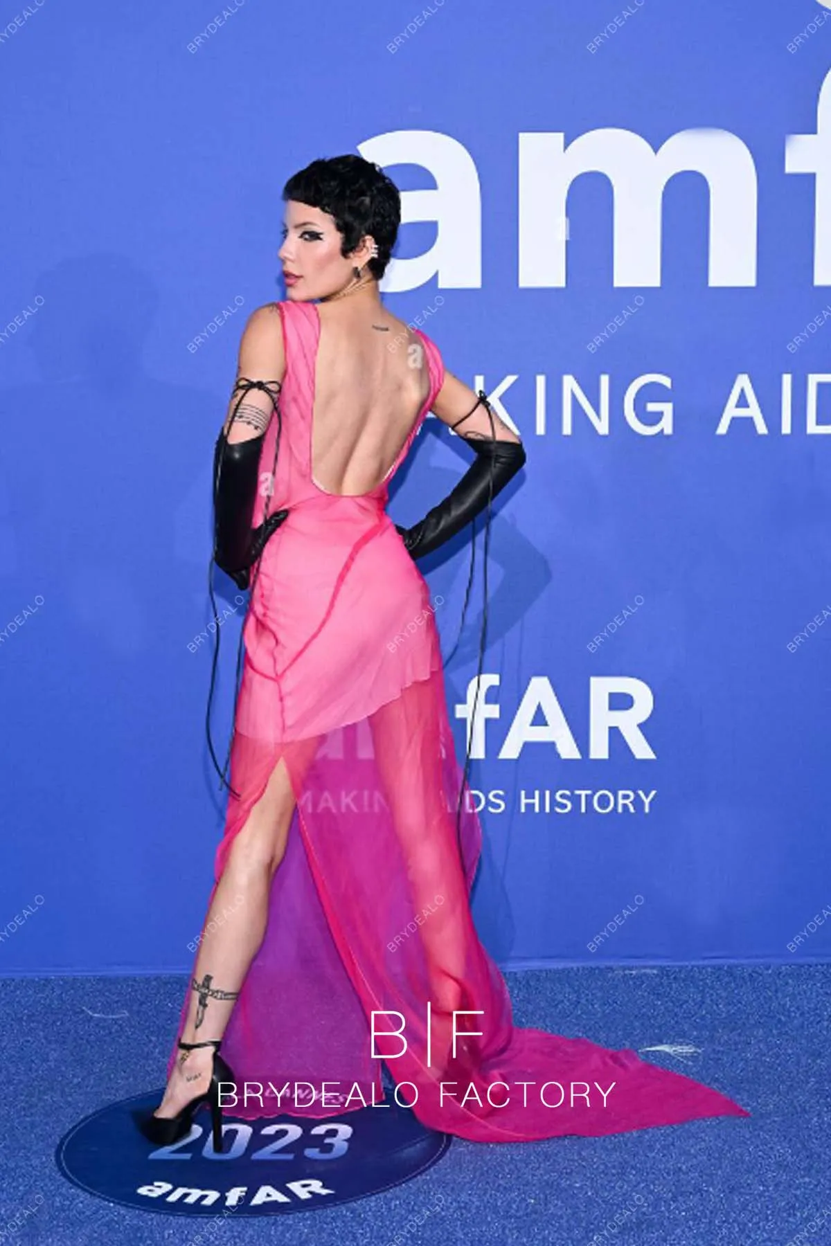 Halsey 2023 Cannes Film Festival Organza Long Celebrity Dress